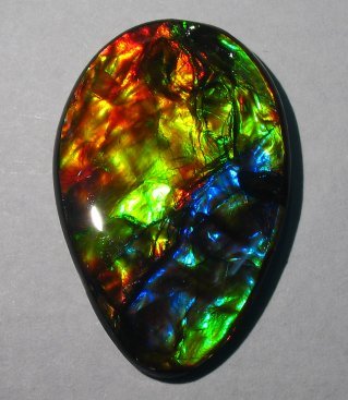 ammolite