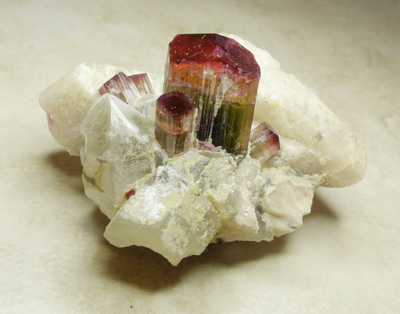 bicolor tourmaline crystal specimen, mogok, burma