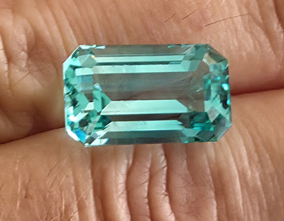 special gem - hidden species